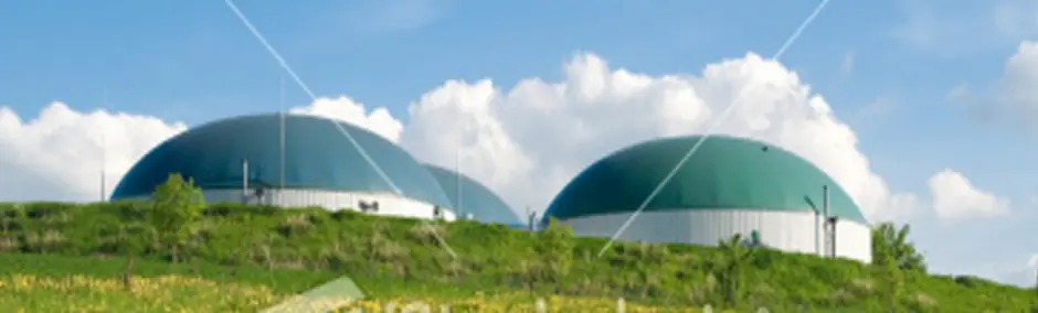 GENVER® GmbH