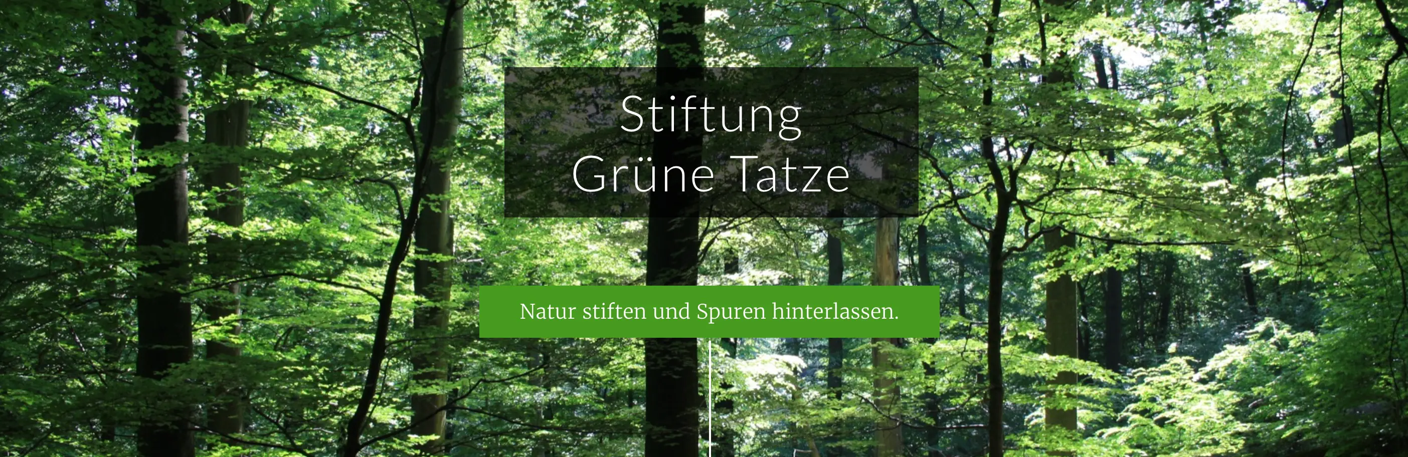 Stiftung Grüne Tatze